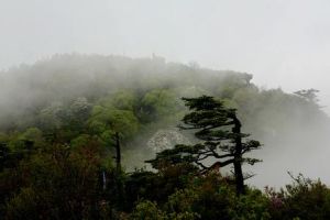 靈寶漢山 靈寶漢山