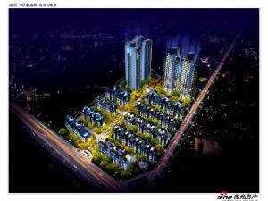 印象森林 印象森林