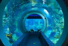 成都海洋館