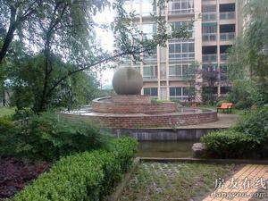 富抱泉花園 富抱泉花園