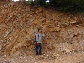 駱家門組 駱家門組