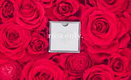 結婚紀念日[節日]