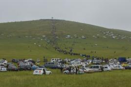 薩麥蘇木 薩麥蘇木