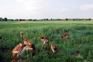 月亮湖水庫 月亮湖水庫