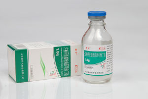 君寧亞胺培南西司他丁鈉 君寧亞胺培南西司他丁鈉