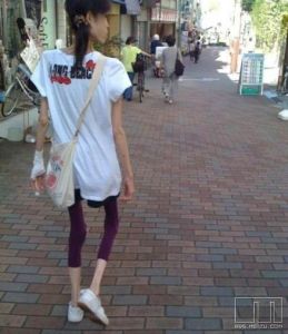 《飛翔之翼》 《飛翔之翼》