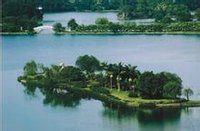 惠州西湖的鱷魚島