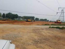 紅色石灰土 紅色石灰土