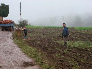 小楊梅山村道路