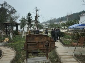 皇家新村採摘園 皇家新村採摘園
