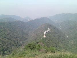 鳳凰谷森林公園 鳳凰谷森林公園