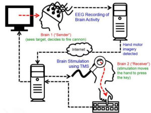腦對腦接口實驗圖