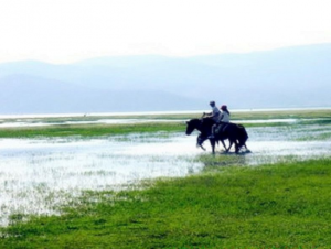 拉市海納西古馬場 拉市海納西古馬場