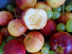 沙果[薔薇目薔薇科植物]