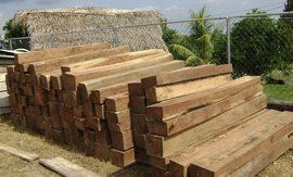 貝里斯黃檀 貝里斯黃檀