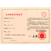 中國專利局 中國專利局