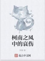 柯南之風中的哀傷 柯南之風中的哀傷