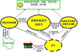 衡榮生態農場 衡榮生態農場