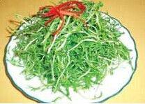 桐柏山山野菜 桐柏山山野菜