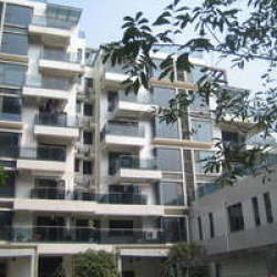 西鑒楓景 西鑒楓景