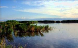 艾比湖濕地自然保護區