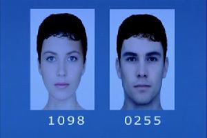 兩性容貌吸引度模擬