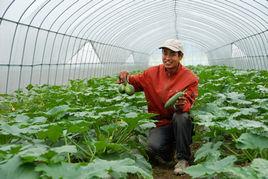 農產品基地 農產品基地