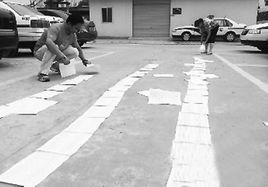 最牛違法車 最牛違法車