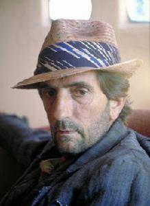 哈利·戴恩·斯坦通