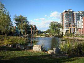 金隅鳳麟洲 金隅鳳麟洲