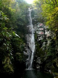 贛江源度假區 贛江源度假區