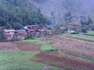 龍宗母村 龍宗母村
