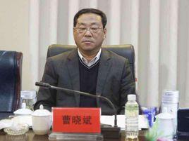 曹曉斌[太原市小店區北格鎮總工會主席]