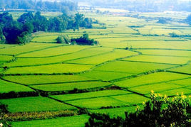 中國土地制度改革 中國土地制度改革