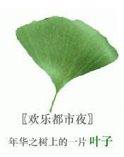 歡樂都市夜 歡樂都市夜