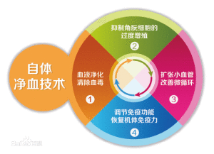 3D自體淨血療法 3D自體淨血療法