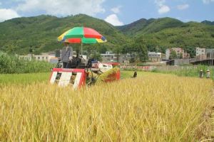 足別瑤族苗族鄉 足別瑤族苗族鄉