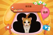 遊戲中的狸花貓