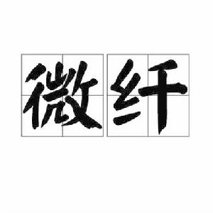 微纖 微纖