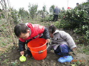 汾陽市賈家莊生態農業園