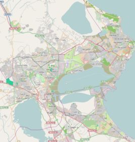 迦太基人 迦太基人