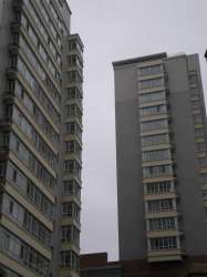 楓橋國際 楓橋國際