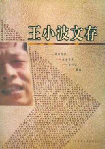 王小波文存 王小波文存