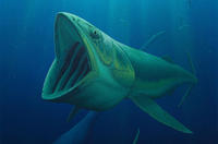 Bonnerichthys gladius Bonnerichthys gladius