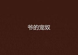 爺的寵奴 爺的寵奴