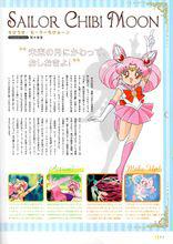 舊版動畫中小小兔的人物介紹