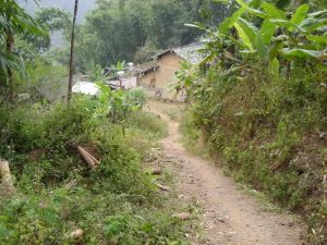 芭蕉窩村 芭蕉窩村