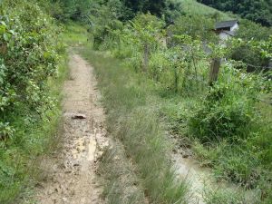 阿利碑村 阿利碑村