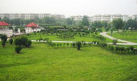 石油社區[北京西城區德勝街道下轄社區]