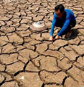 （圖）乾旱氣候